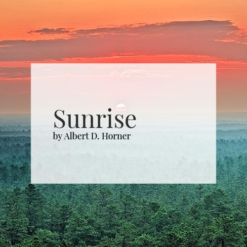 Sunrise---Pinelands-Imagery---By-Albert-D-Horner.jpg